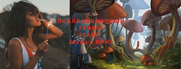 apvp Алзамай