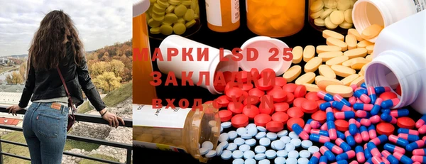 apvp Алзамай
